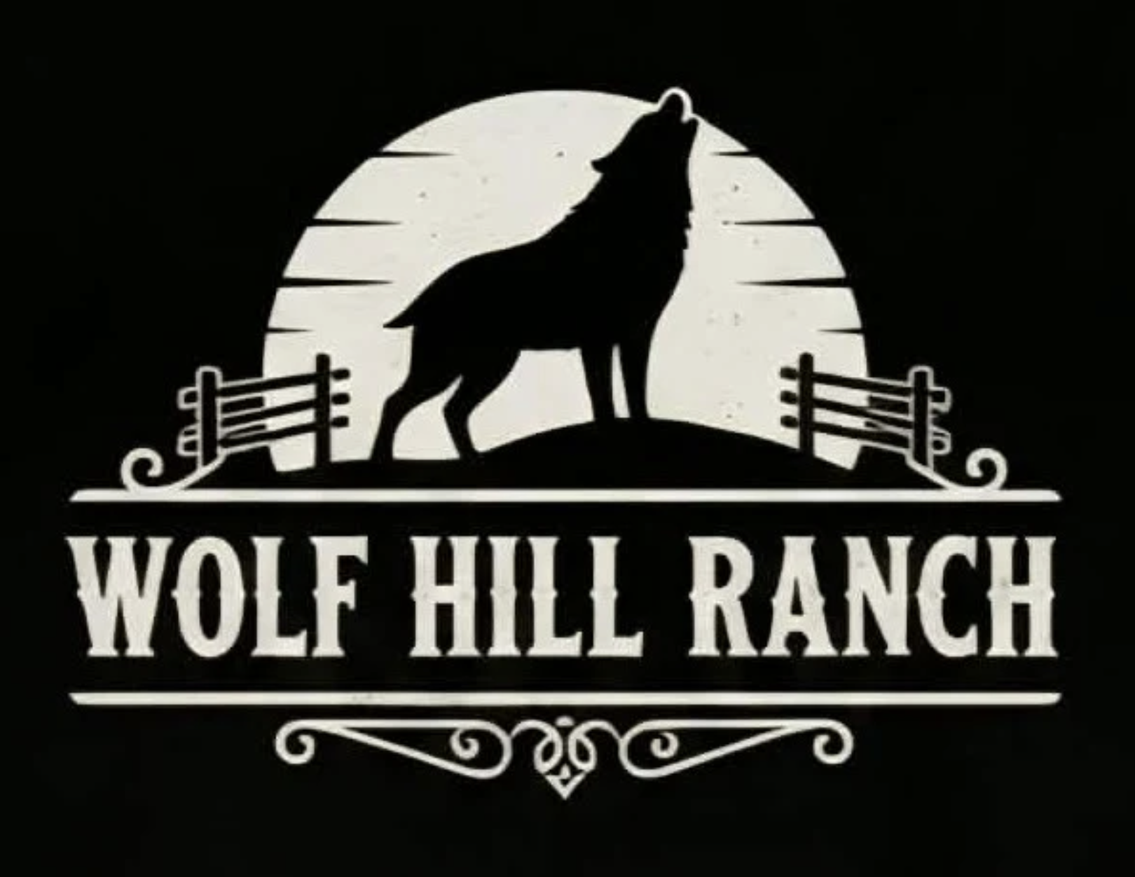 Wolf Hill Designs Builds a Lifestyle Empire Blending Bold Fashion Premium Coffee and Wellness Products from Its Florida Ranch Headquarters