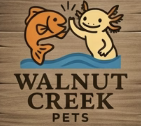 Walnut Creek Pets LLC Launches Mission-Driven E-Commerce Platform for Wholesome Pet Care Across All Species